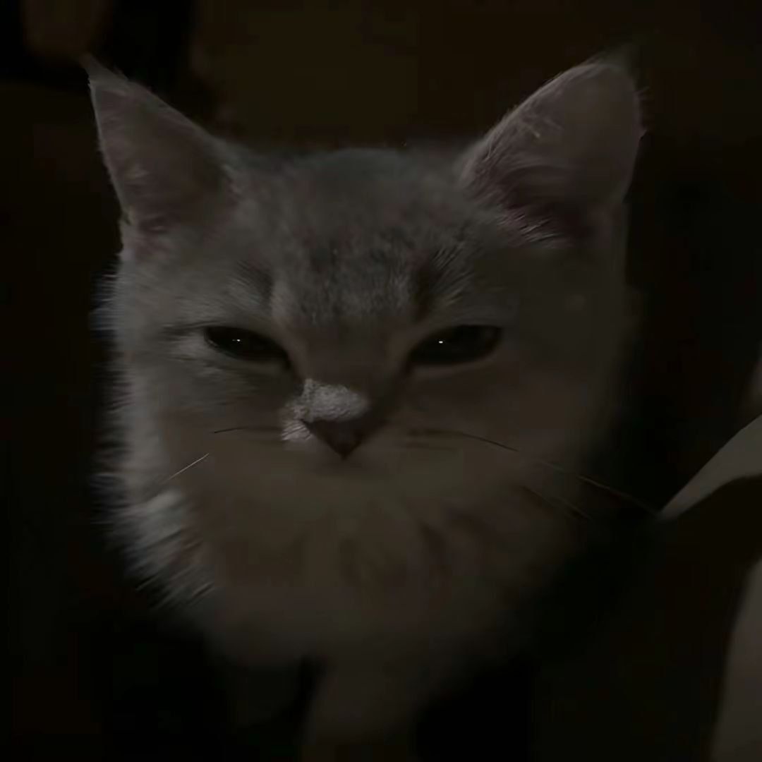 gfytyyutuy