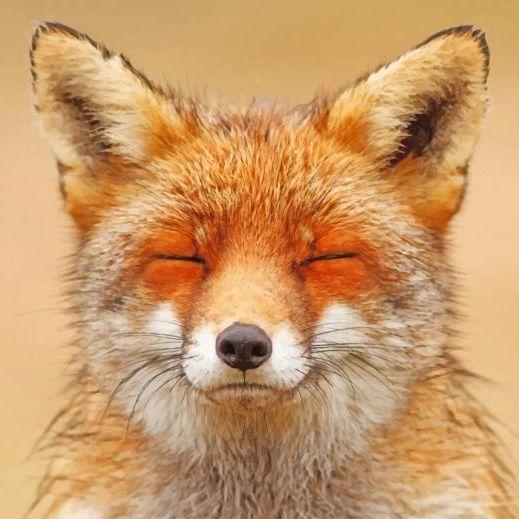 Neezon avatar