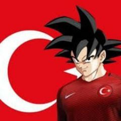 team_NeverTrust_