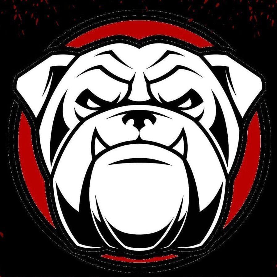 BuLLdoG113 avatar