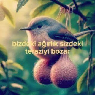 bmwpeekemir avatar