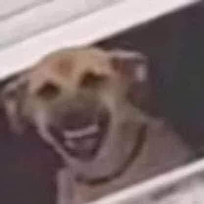 KOLIBEREK666 avatar