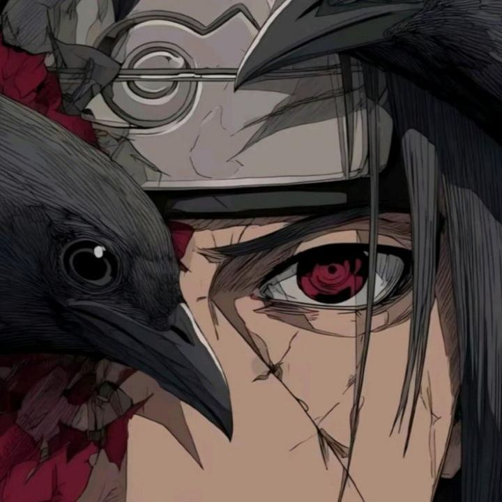 falc_iTACHI