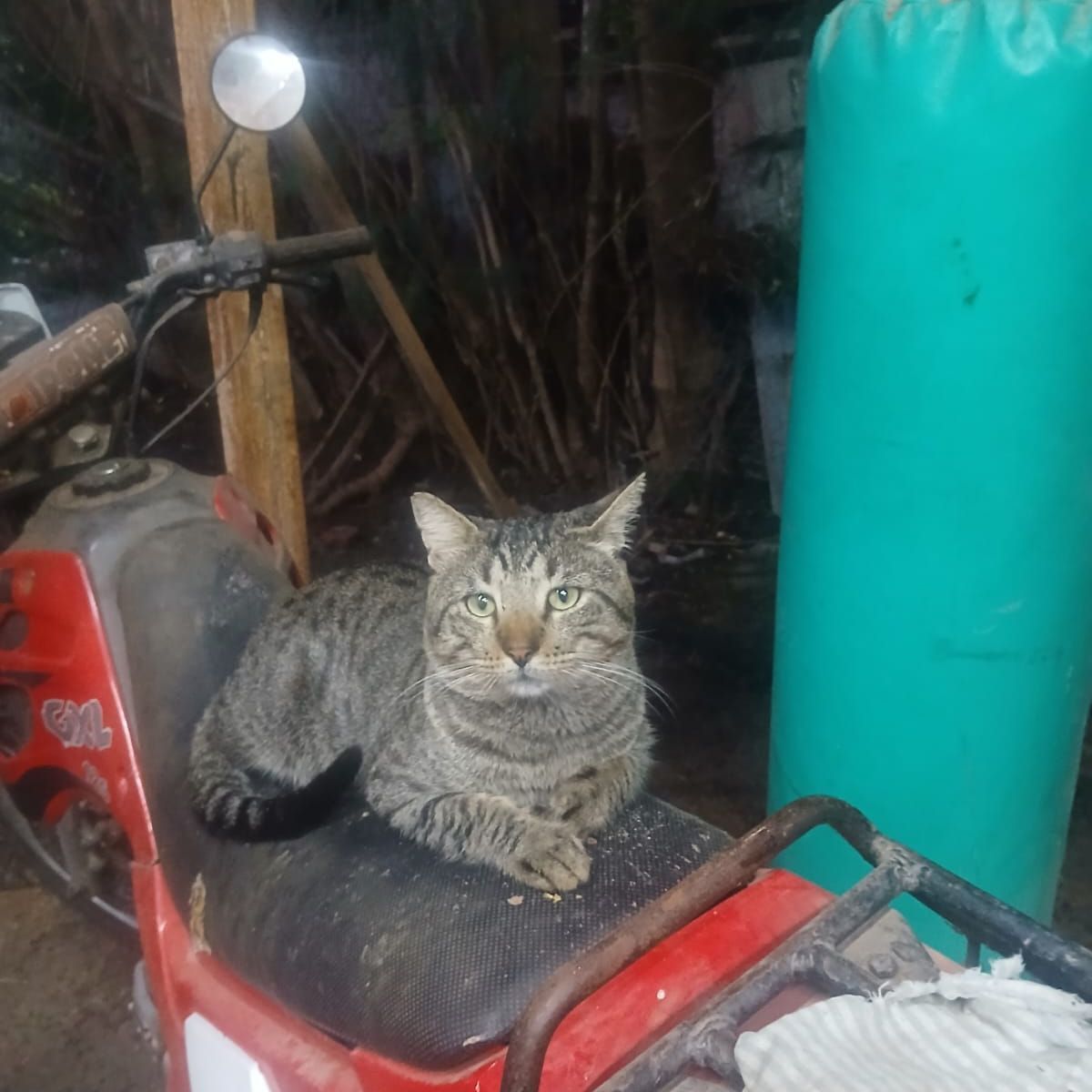 sekiiiiiii