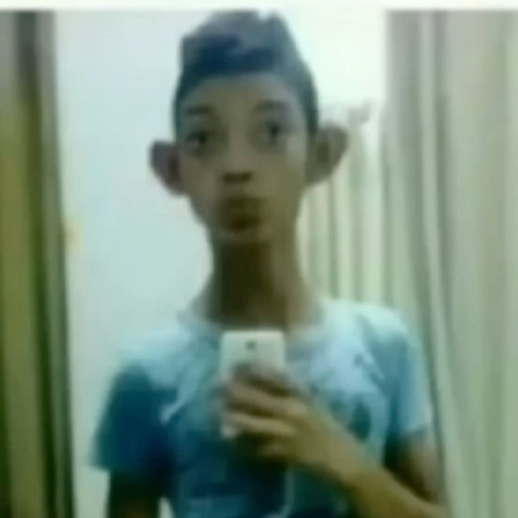 fimoz_2010
