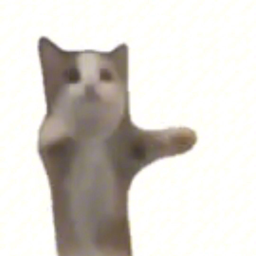 maxonchik655 avatar