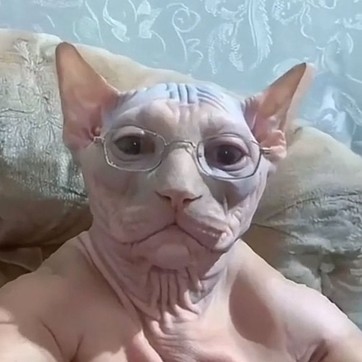 4evr9