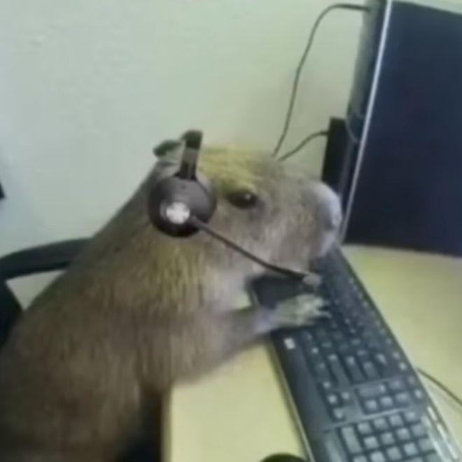 Fequ1337 avatar