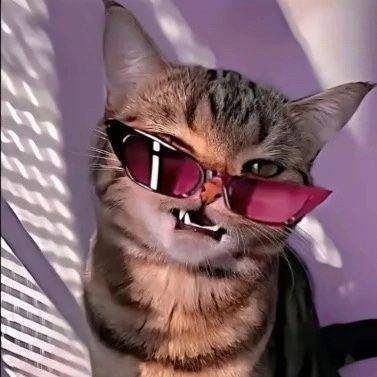 chanaBER avatar
