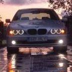K1lupoiss