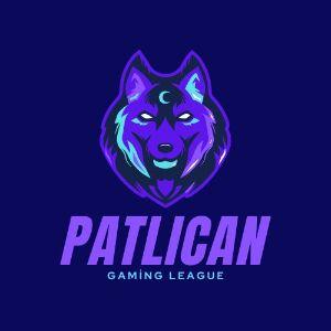 Player PATLlCAN avatar