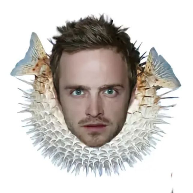 RybaYoj