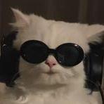 MaldyKush avatar