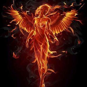 Phoenixzs avatar