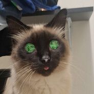_rk_