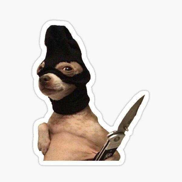 Tomaz8 avatar