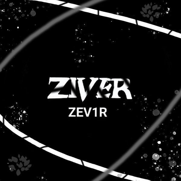 zev1rs avatar