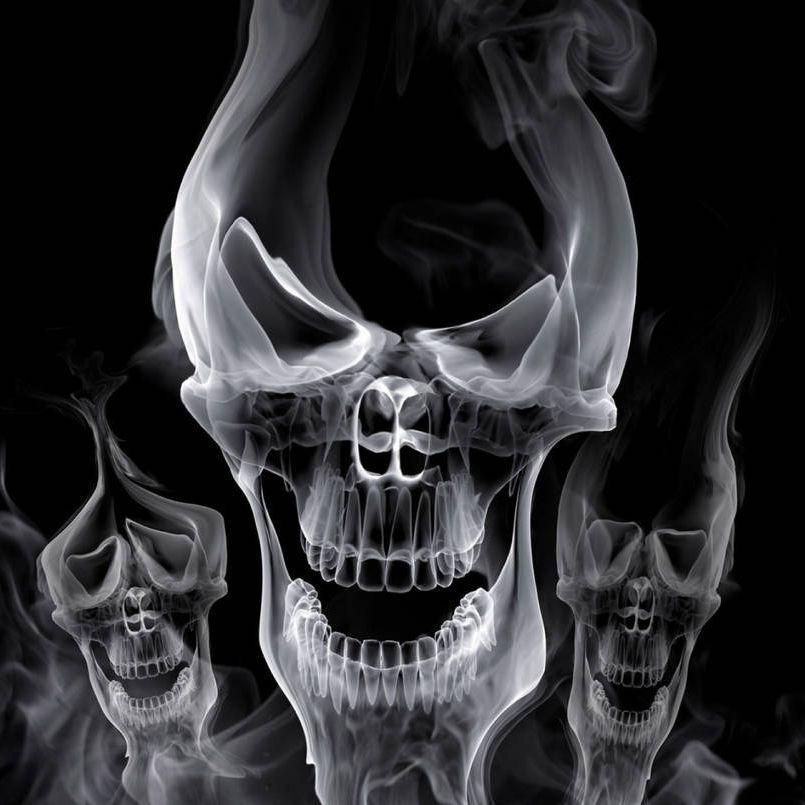 PuNiSheR_hrk avatar