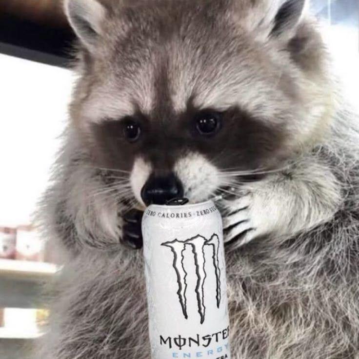 Zykcyf