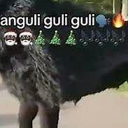 Chisu0 avatar