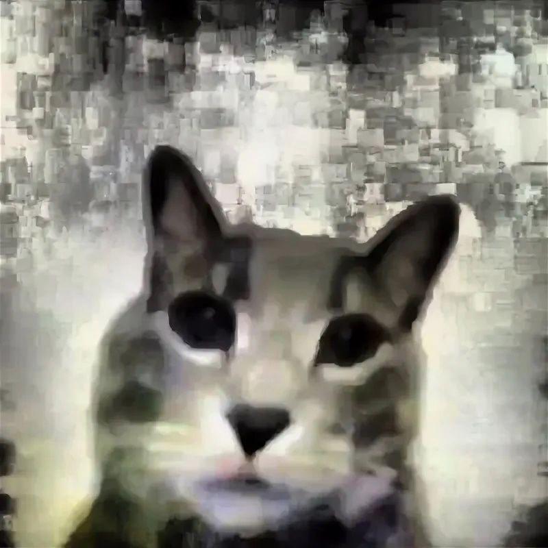 maIafya avatar