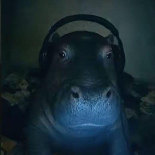 skamMore avatar