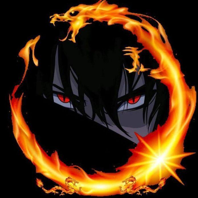 xfreq_ avatar