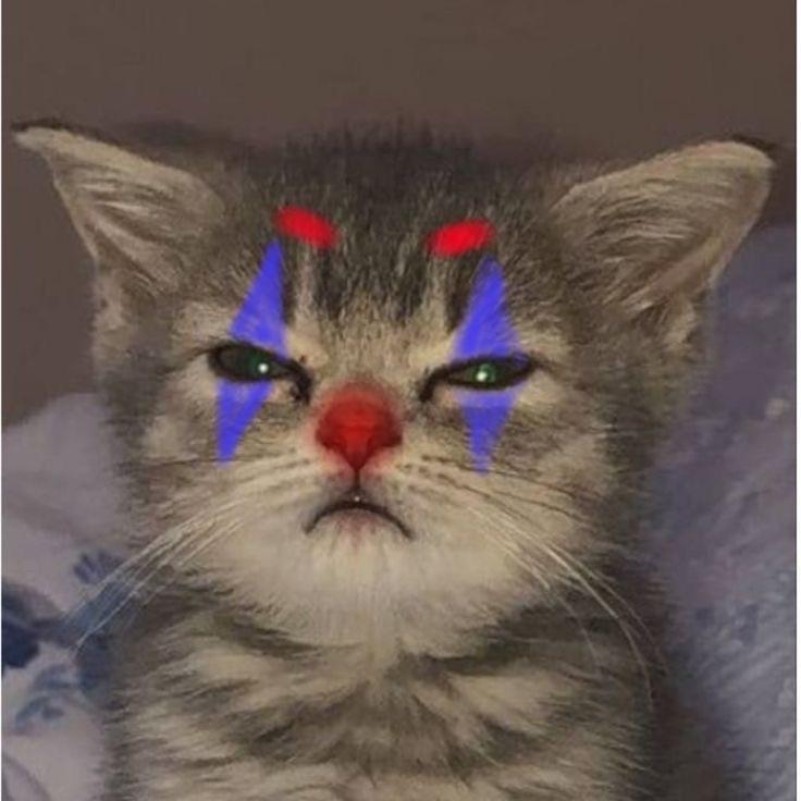 myaki4 avatar