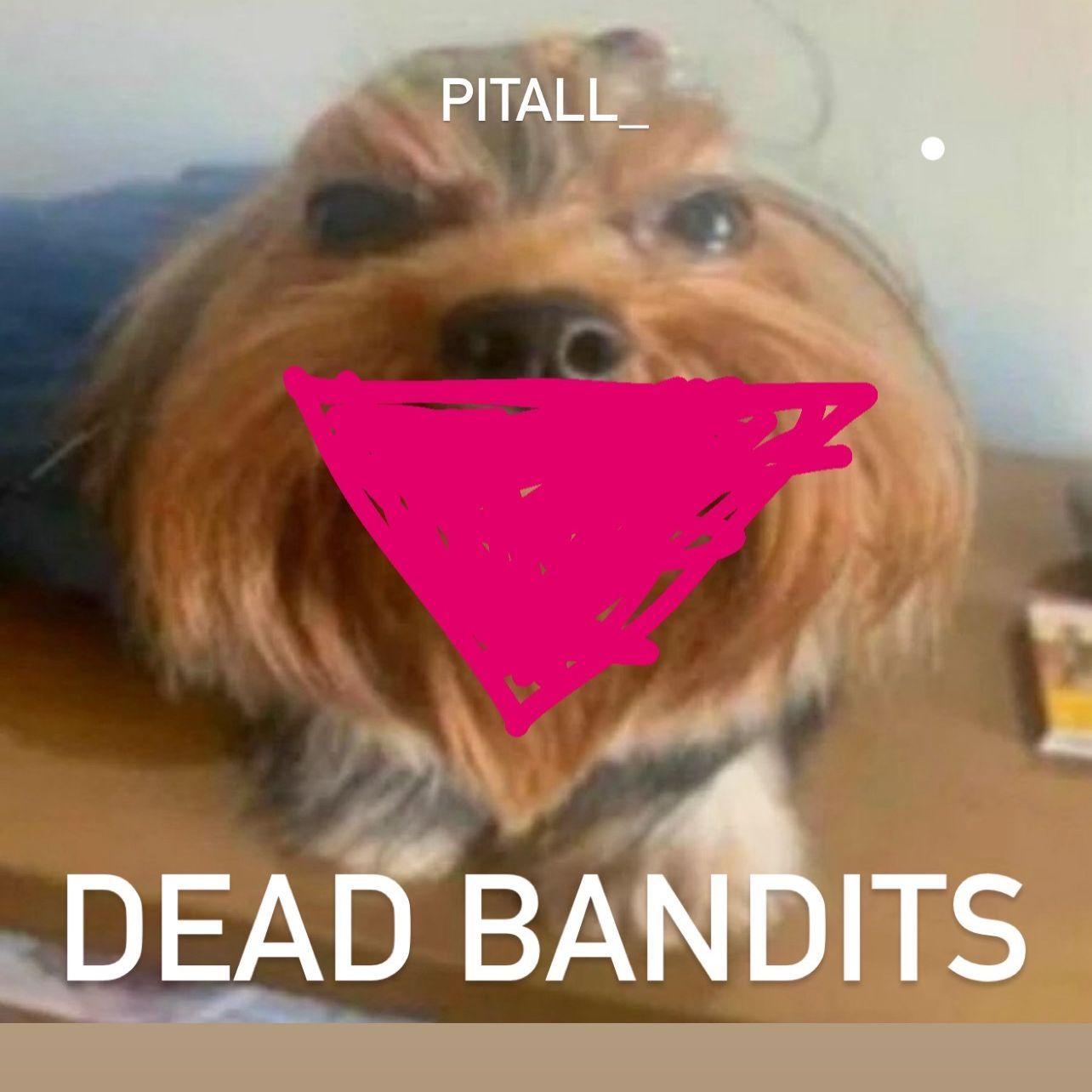pitall_ avatar