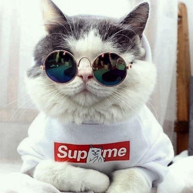 M1sterMus0r avatar