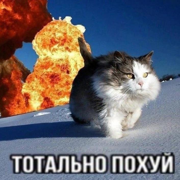 KyTak17 avatar