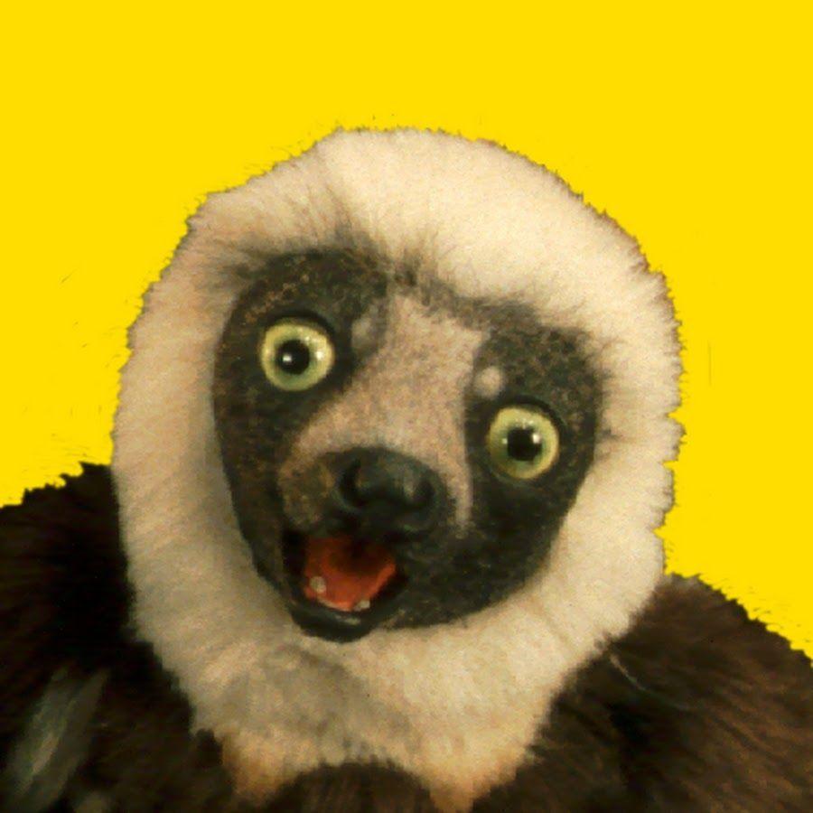 roca avatar