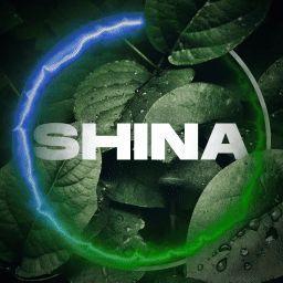 Shina981 avatar