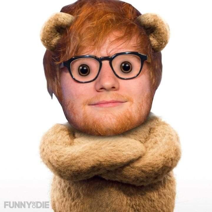 RagingMonkey