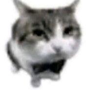 Kotovskij007 avatar