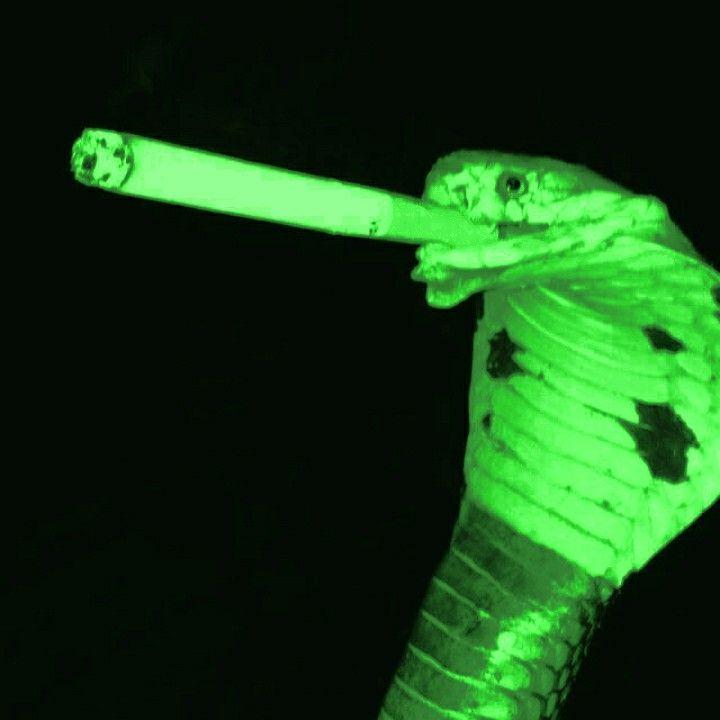 Takeshi666 avatar