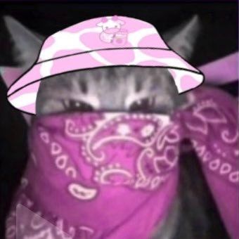 isdedee FACEIT avatar