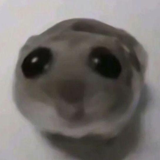 yo1nkxxd avatar