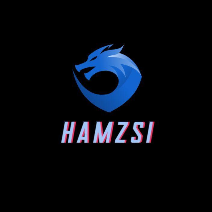 Player Hamzsi avatar