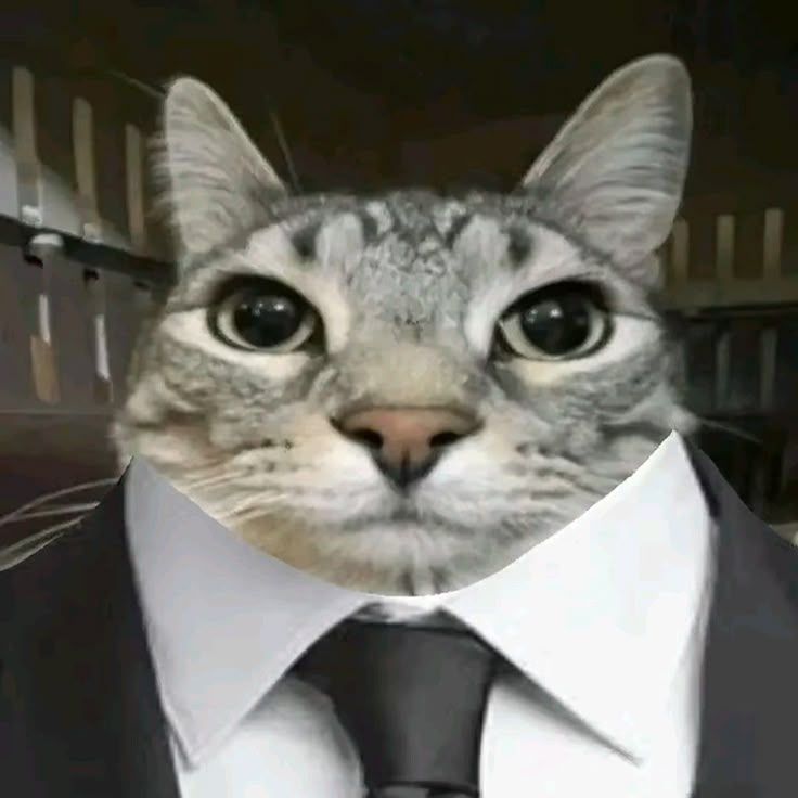 _MAYOR4IK_