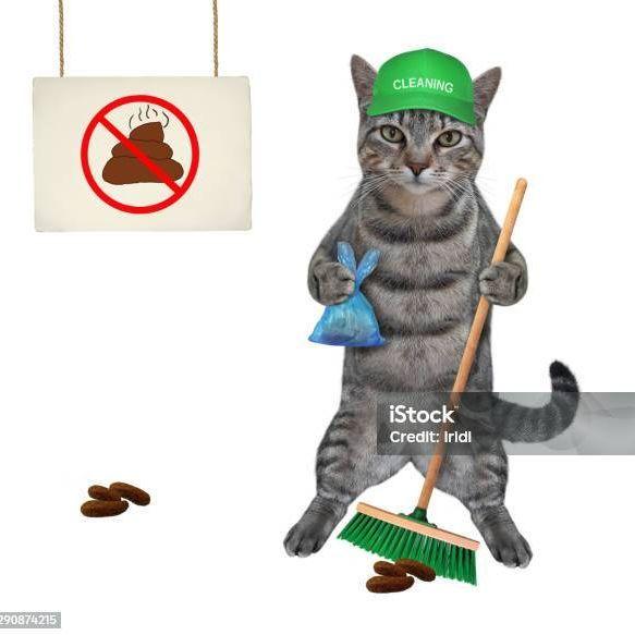 GucciGabbe avatar