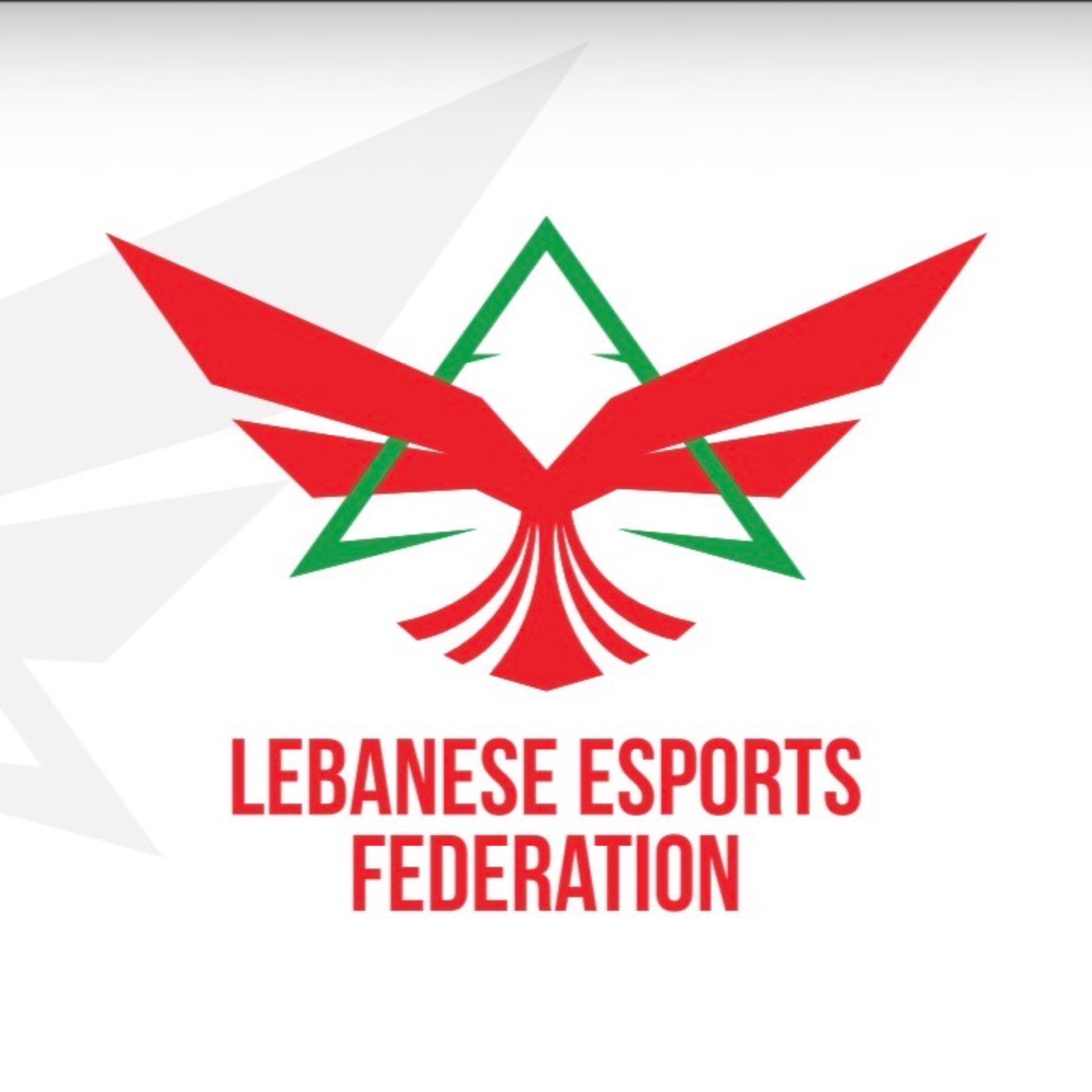 Lebanese Esports Federation