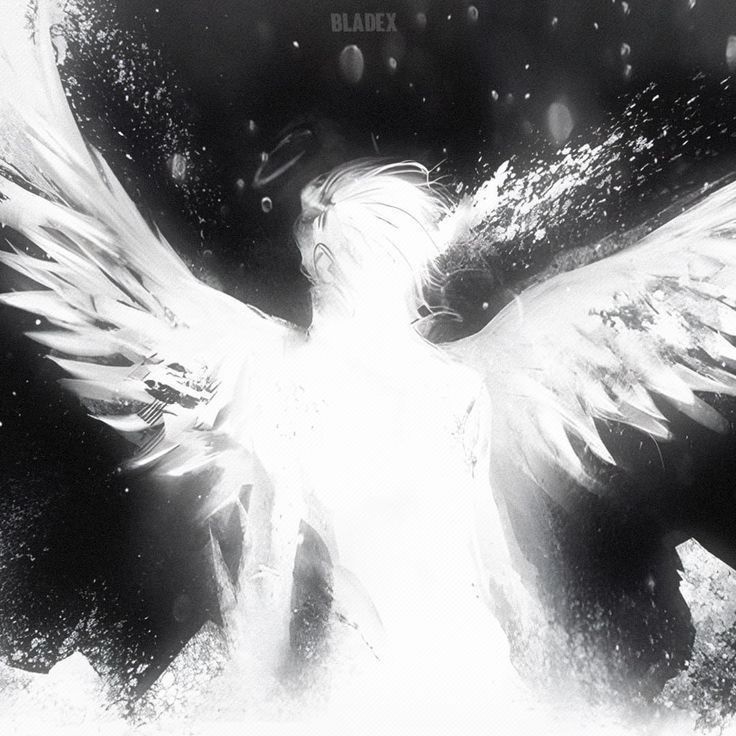 Angelg1