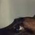 -_-ZaKo-_-