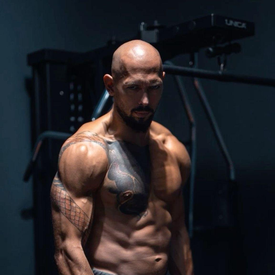erlisi123 avatar