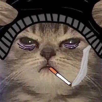 hanj1 avatar