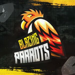 BlazingParrots