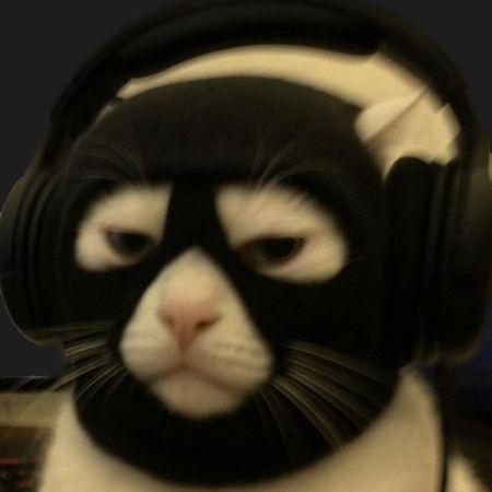 --dan avatar