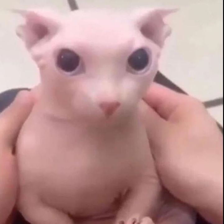 Tiloks00