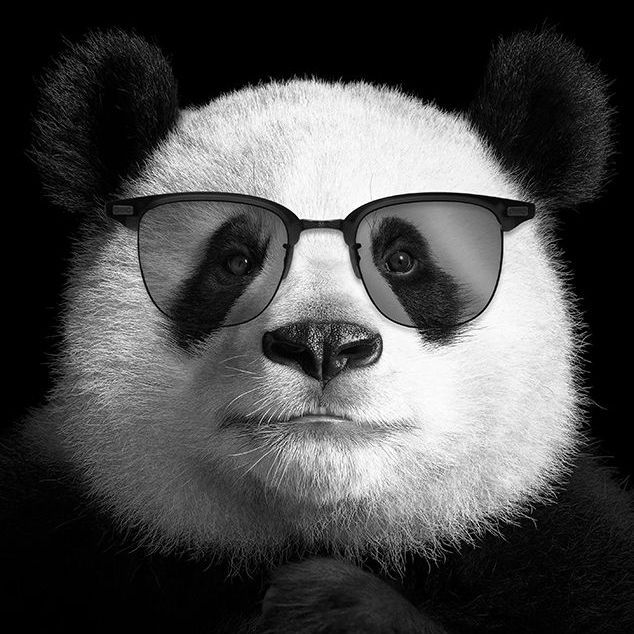 SugarPanda